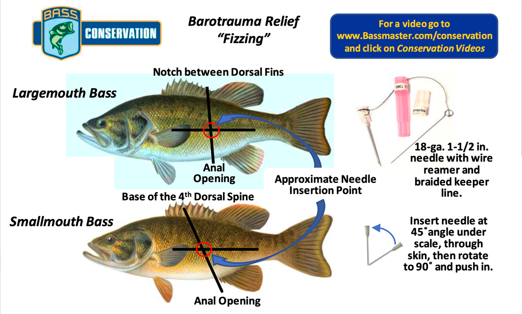 Barotrauma Relief - Fizzing